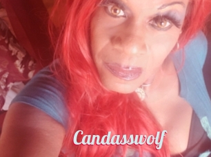 Candasswolf