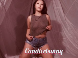 Candicebunny