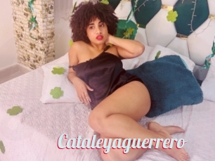 Cataleyaguerrero