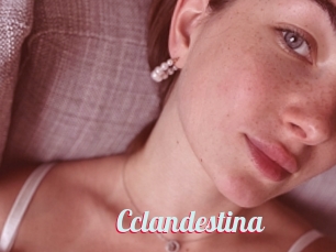 Cclandestina