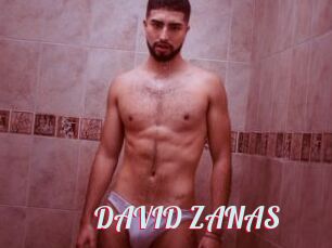 DAVID_ZANAS