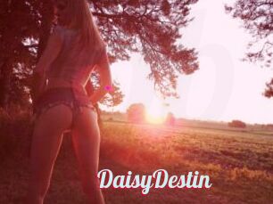 DaisyDestin