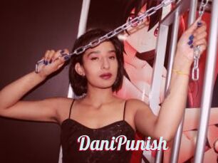 DaniPunish