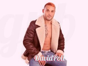 DavidPoll