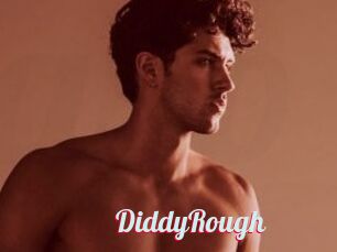 DiddyRough