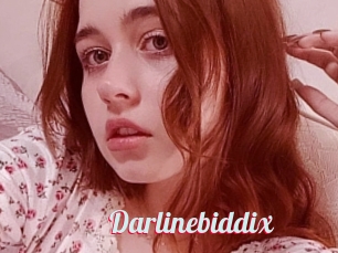 Darlinebiddix