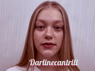 Darlinecantrill