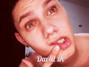 David_sk