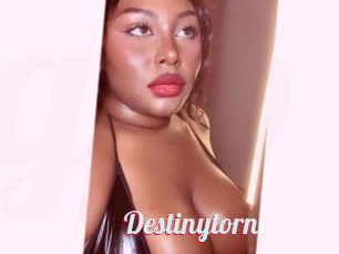 Destinytorn