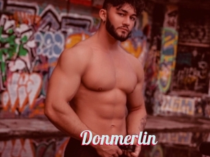 Donmerlin