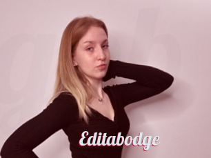 Editabodge