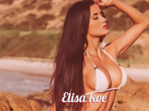 Elisa_koe