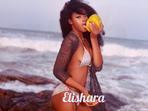 Elishara