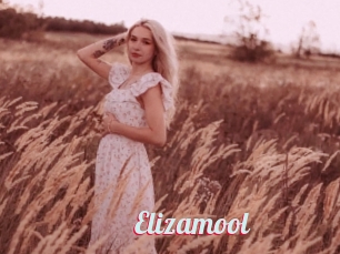 Elizamool