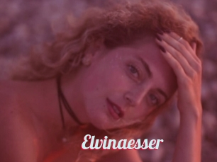 Elvinaesser