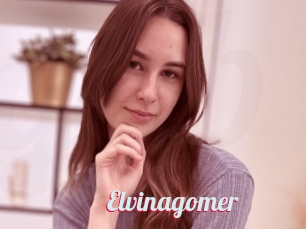 Elvinagomer