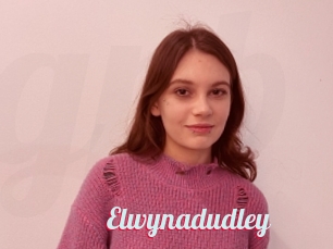 Elwynadudley