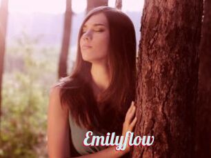 Emilyflow