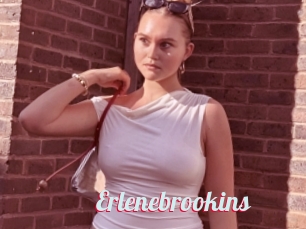 Erlenebrookins