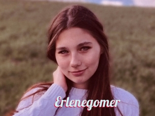 Erlenegomer