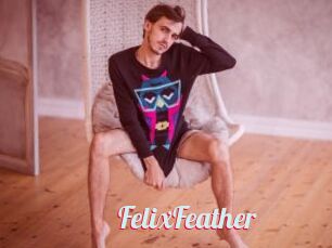 FelixFeather