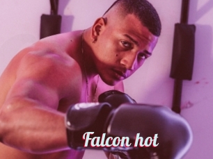 Falcon_hot