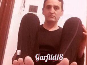 Garfild18