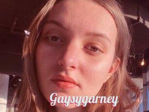 Gaysygarney