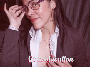 Girasol_walton