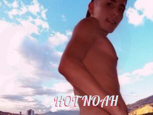 HOT_NOAH