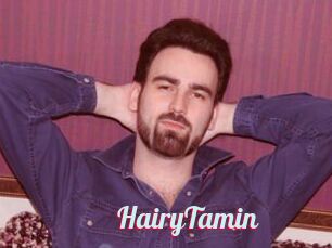 HairyTamin