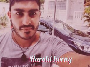 Harold_horny