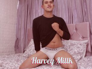 Harvey_Millk