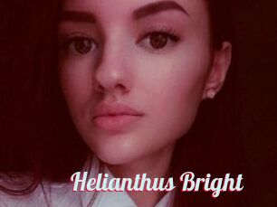 Helianthus_Bright