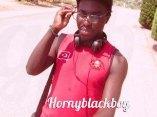 Hornyblackboy