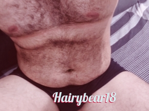 Hairybear18