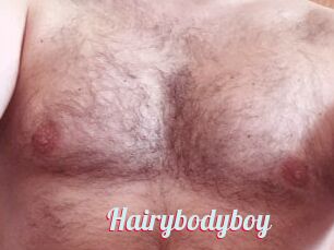 Hairybodyboy