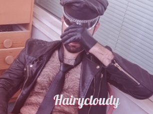 Hairycloudy