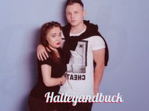 Halleyandbuck