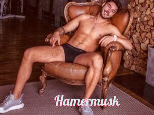 Hamermusk