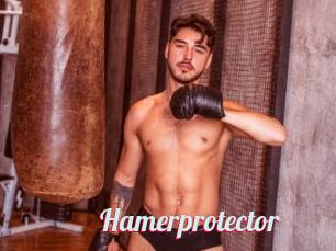 Hamerprotector