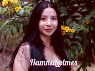 Hamnaholmes