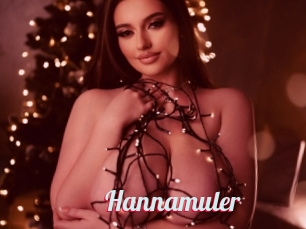 Hannamuler