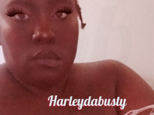 Harleydabusty