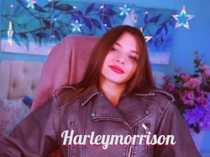 Harleymorrison