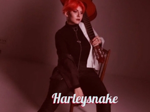 Harleysnake