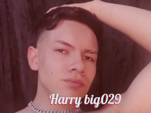 Harry_big029