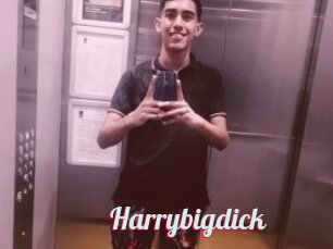 Harrybigdick