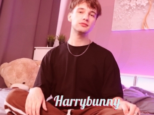 Harrybunny