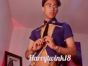 Harrytwink18